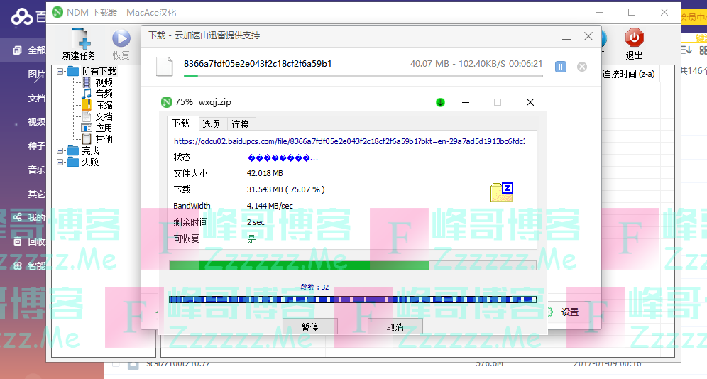 Win/Mac IDM的另一个版本NDM下载器V1.1.0.10 中文汉化版下载